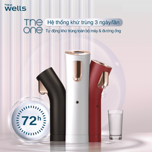 Máy lọc nước nóng lạnh cao cấp Wells The One