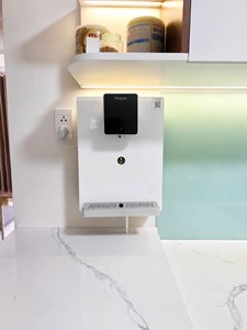 Máy Lọc Nước Nóng Lạnh Treo Tường Truliva W6412